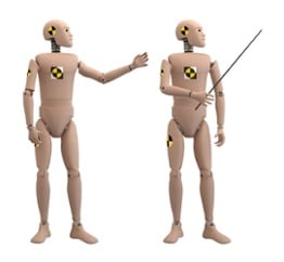 crash test dummies