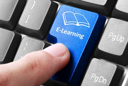 Article: Using Assessments in eLearning